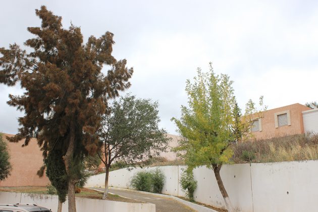 Station Thermale Hammam Guergour